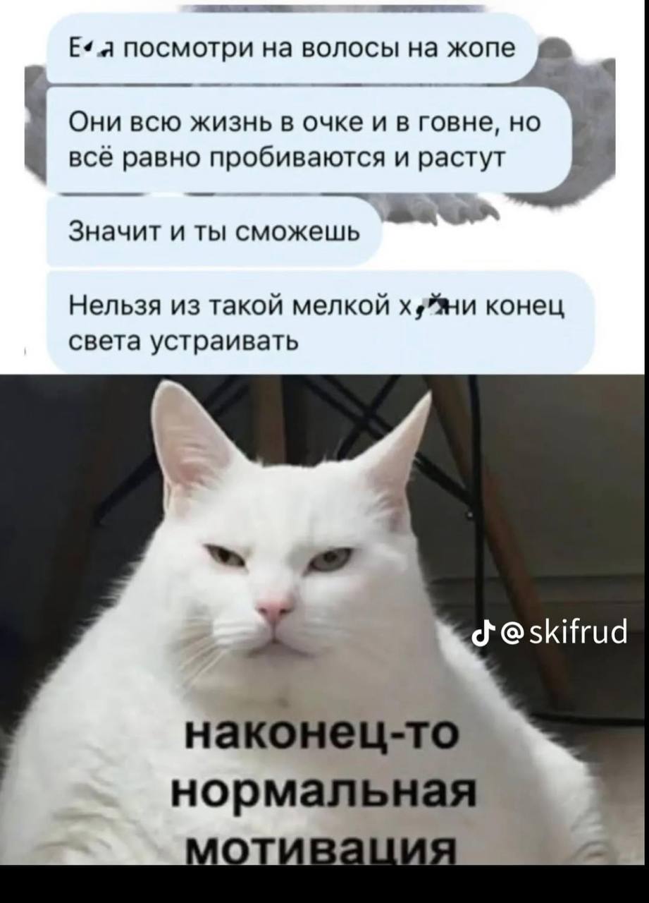 Хотелось поделится личным, пока писала - перехотелось 🤡